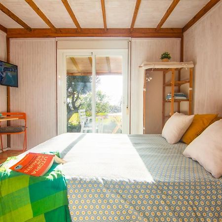 Romantic Beach Cabin - Playa El Palmar El Palmar  Dış mekan fotoğraf