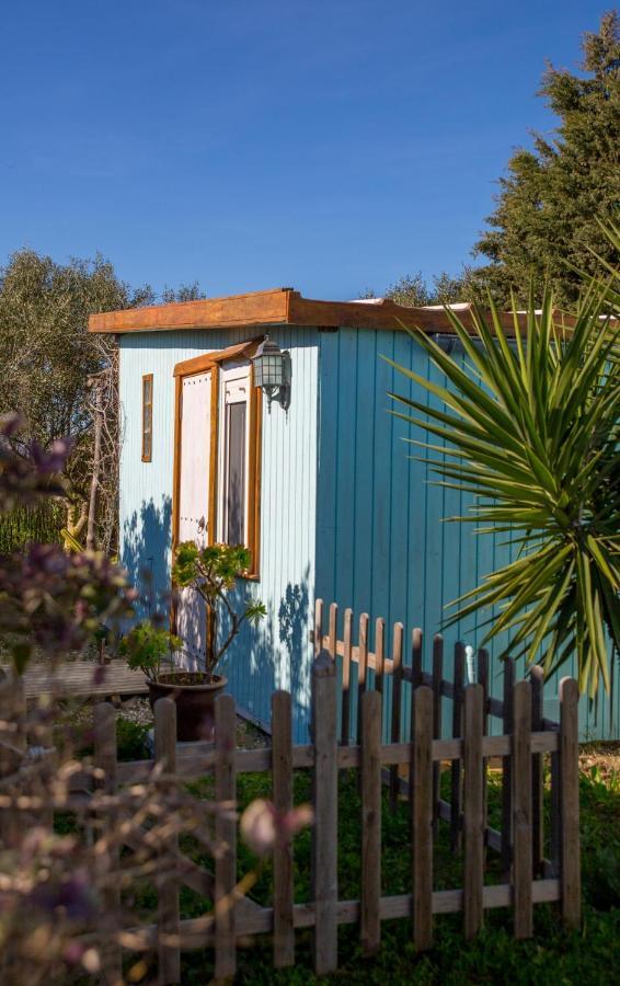 Romantic Beach Cabin - Playa El Palmar El Palmar  Dış mekan fotoğraf